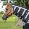 Premier Equine magnettekk koos kaelaosaga - hobuse üldist heaolu säilimiseks - Image 2