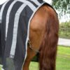Premier Equine magnettekk koos kaelaosaga - hobuse üldist heaolu säilimiseks - Image 5