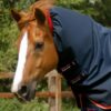 Buster 100g