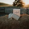 Woolherd-woolpad-villavatnikud hobustele
