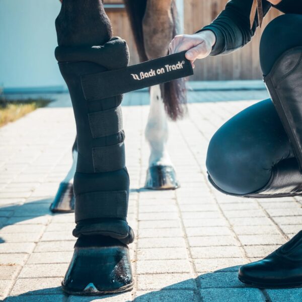 Hobuse jalgadel Back on Track Royal tallikaitsmed Welltex tehnoloogiaga Kaitsed, mis toetavad taastumist ja parandavad vereringet hobustel