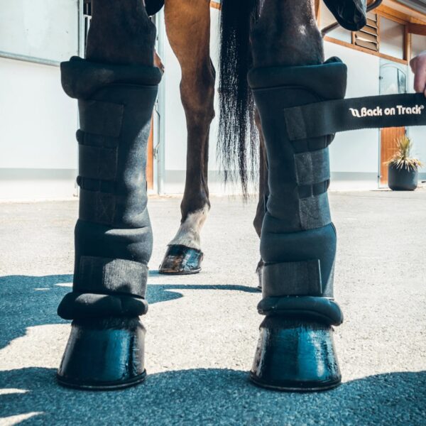 Hobuse jalgadel Back on Track Royal tallikaitsmed Welltex tehnoloogiaga Kaitsed, mis toetavad taastumist ja parandavad vereringet hobustel